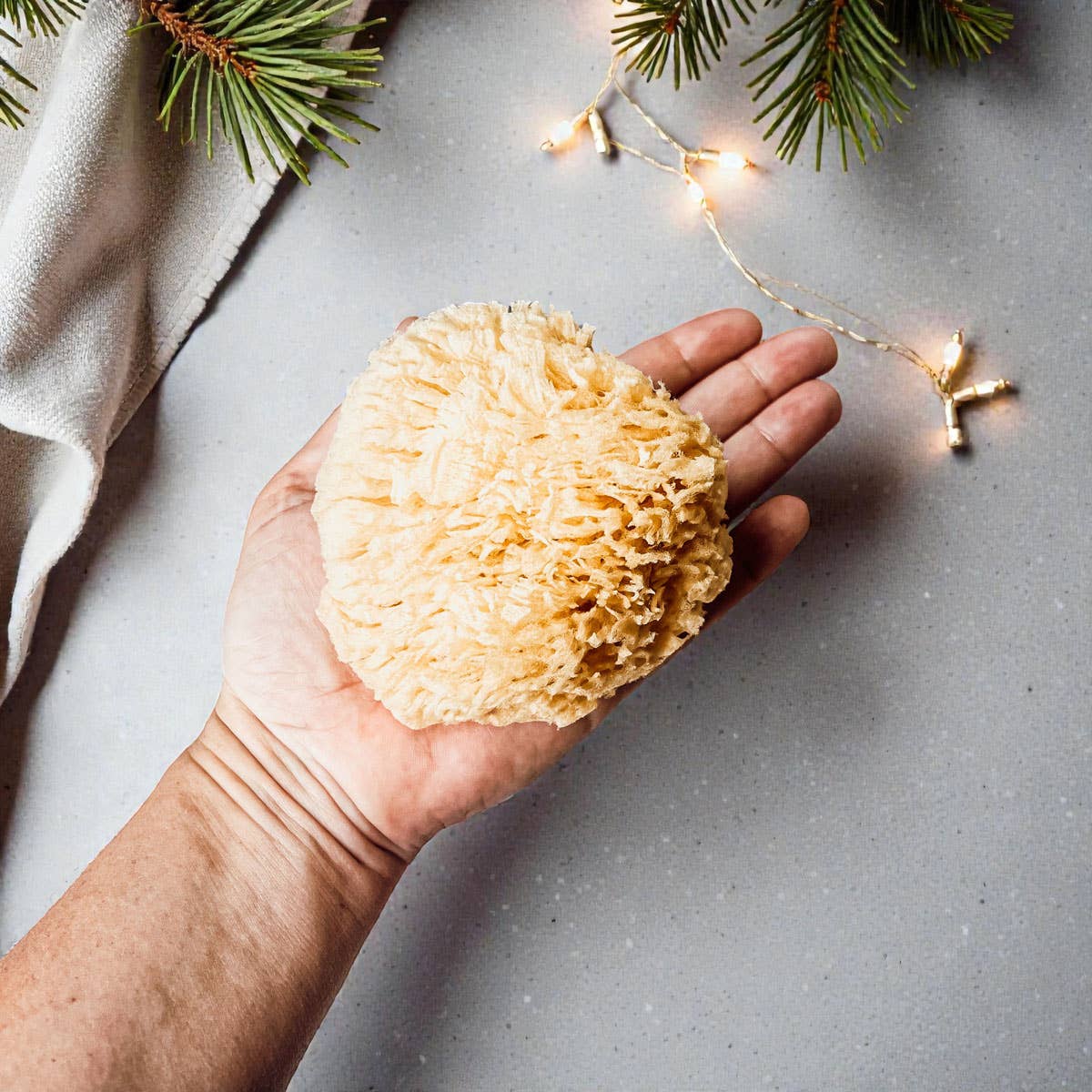 Gia Roma - Wholesale Bath Pouf/Sponge - Dead Sea Sponge, All Natural Body Wash Loofah 4-5"32