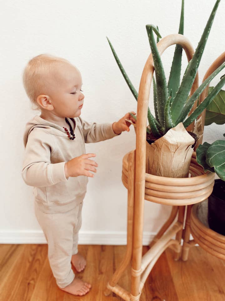 Colored Organics - Wholesale Hoodie - Kids - Organic Baby & Kids Madison Hooded Pullover - Clay