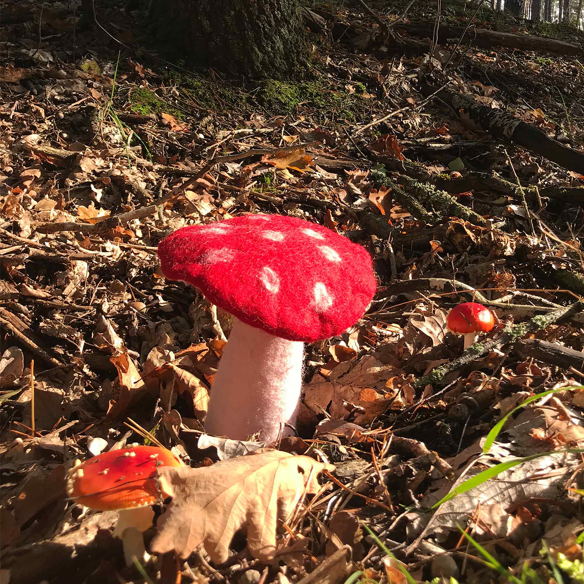 Tribal Trade GmbH - Vendita all'ingrosso Statuette decorative - Fungo amanita muscaria in feltro rosso, disponibile in 3 dimensioni9