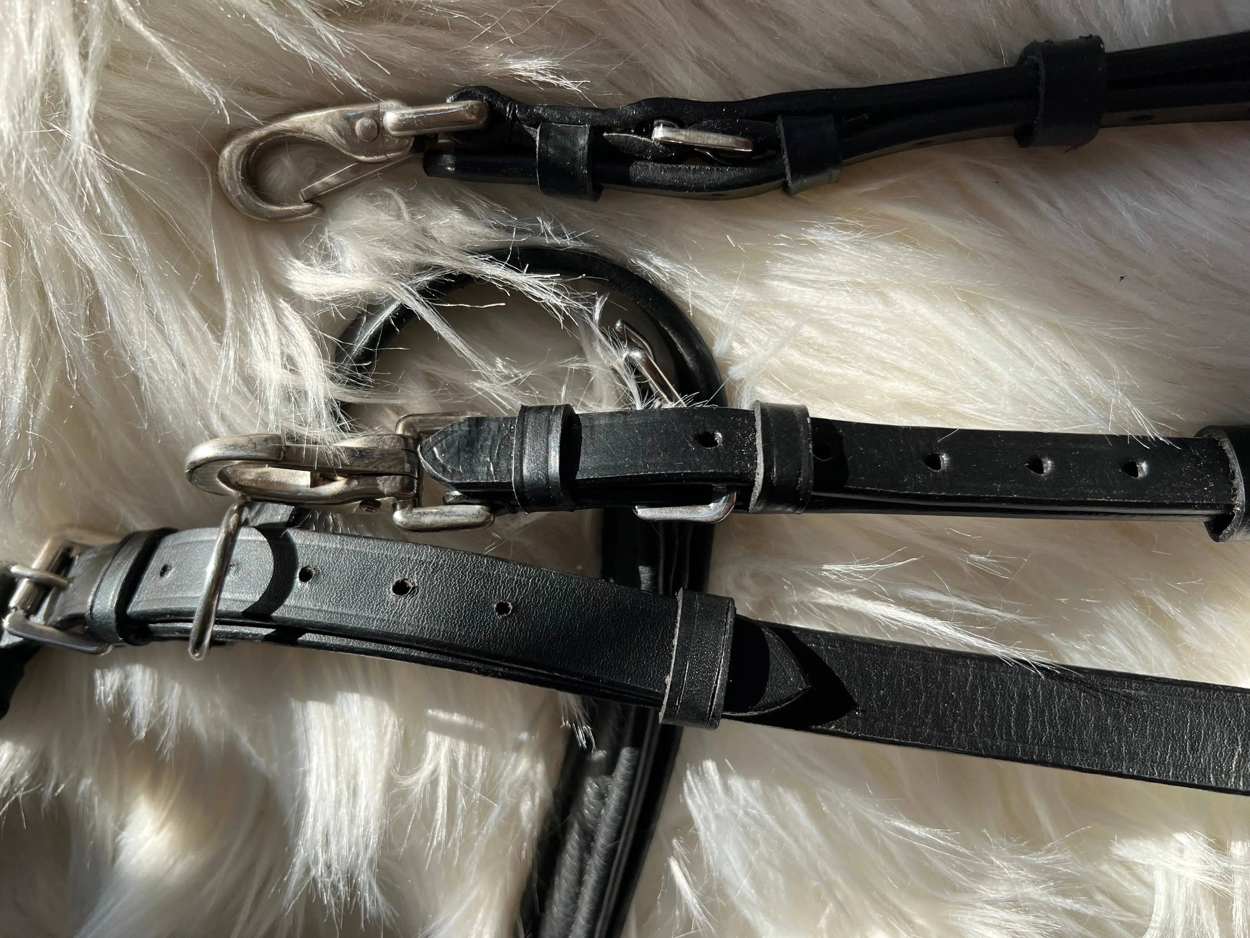 CR Harmonyequestrian - Wholesale Horseback Riding Gear - Full-blooded multi-fence9