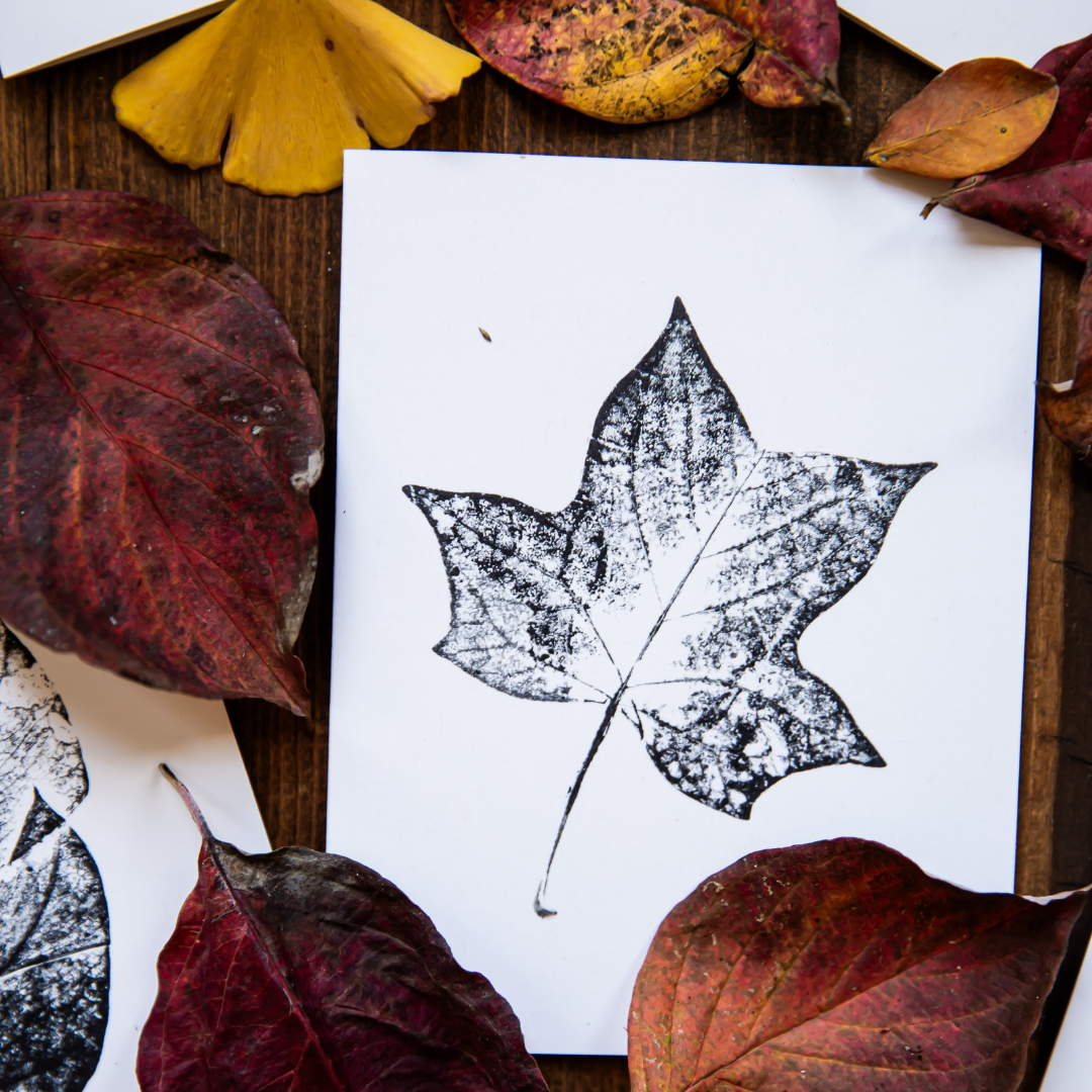 Reclaimed Gardens - Wholesale Stationery/Notecard Set - Botanical Monoprint Card Collection4