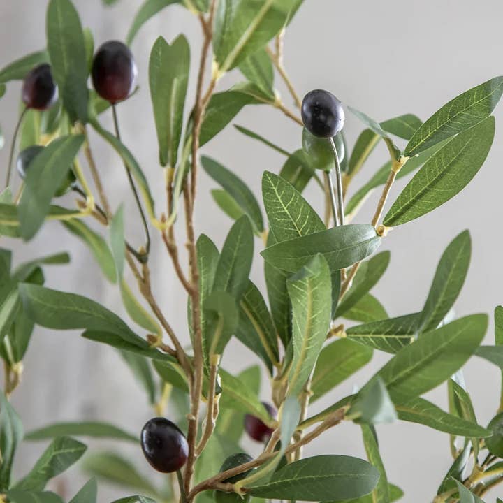 Maia Shop - Wholesale Artificial Plant - 5' Artificial Olive Tree 2