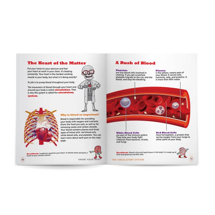 Know Yourself - Wholesale Book - Kids - Circulatory System: Know Your Body