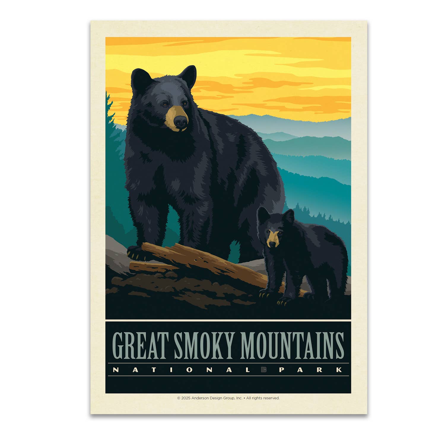 Tourist Courts - Wholesale Postcard - Great Smoky Mountains NP Black Bears Postcard0