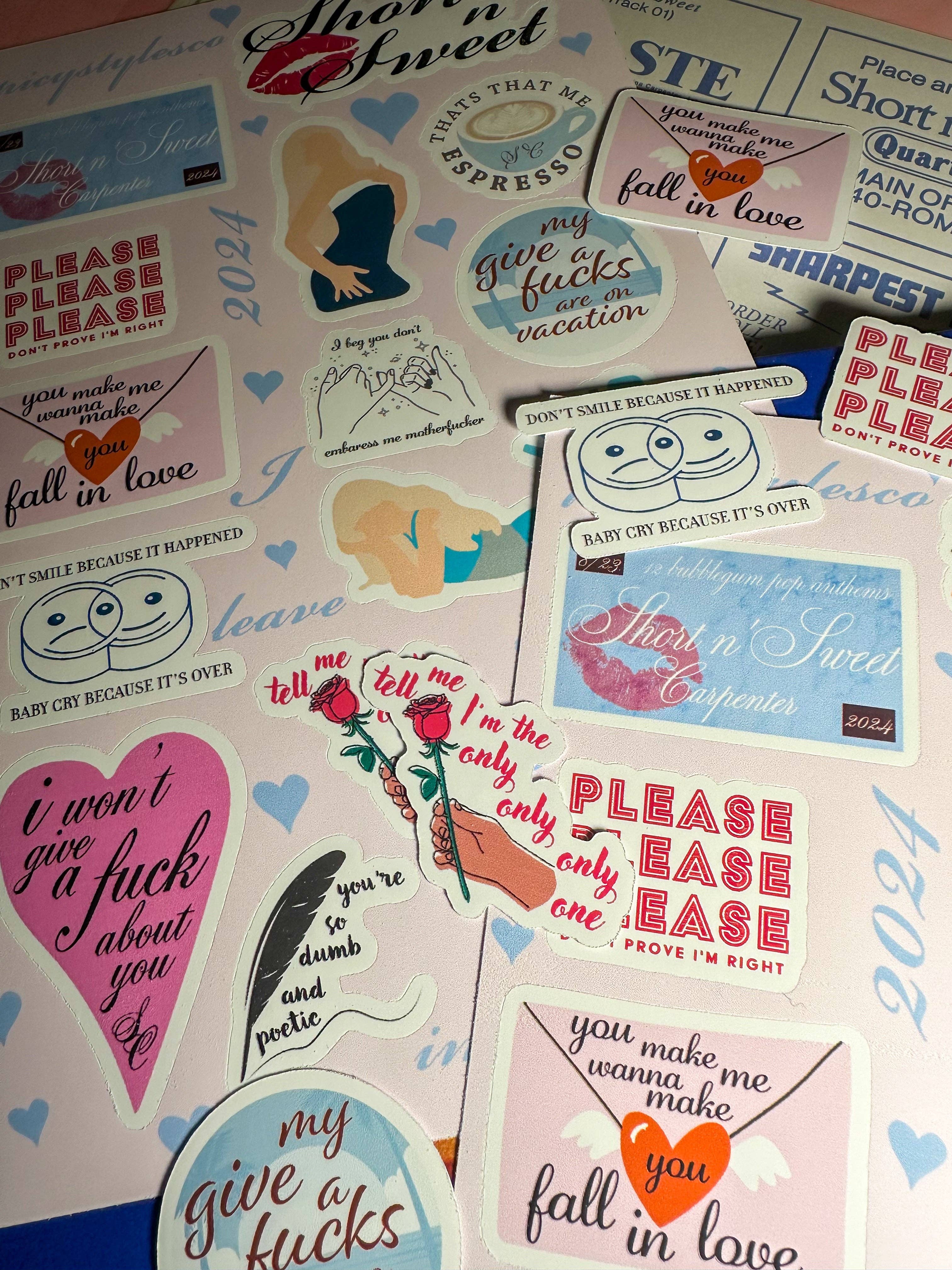 SpicyStylesCo – wholesale Sticker – short n'sweet SC6 sticker sheet5