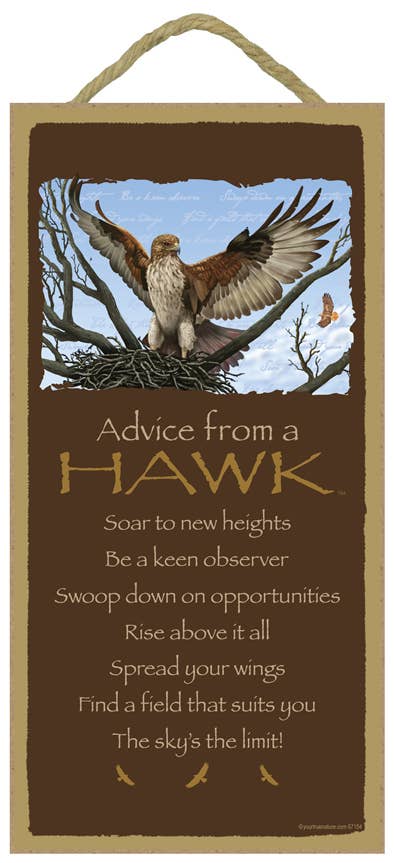 SJT Enterprises, Inc. - Wholesale Sign - Hawk / Advice From  - 5" x 10" wood plaque, sign - licensed0