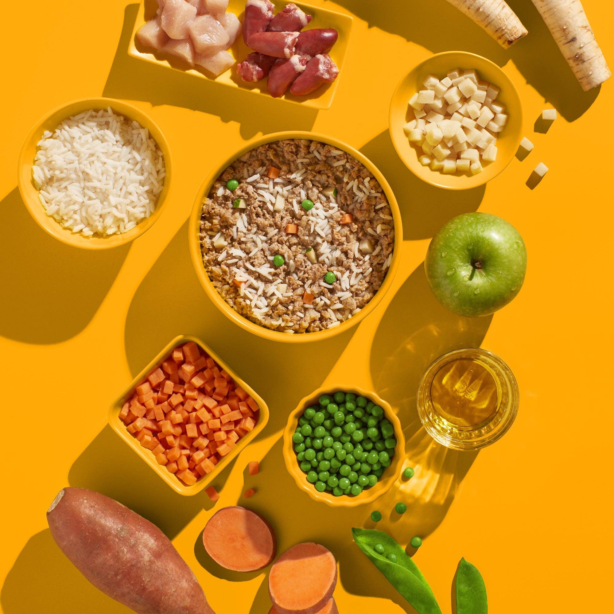 FRED & FELIA - Wholesale Pet Food - Dog - FRED Chicken with Rice1