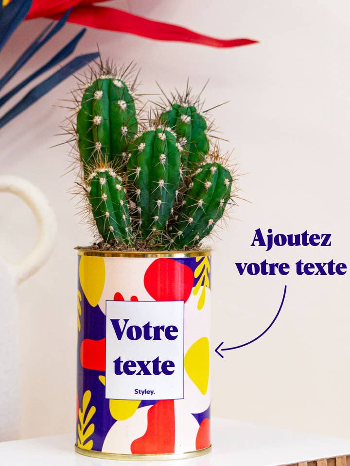 Cactus Josiane - Personnalisable pour la vente par Styley