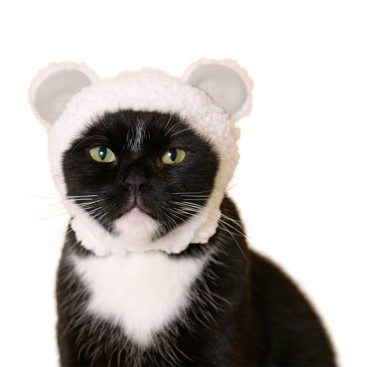 Clever Idiots Inc. - Vendita all'ingrosso Costume da carnevale - Gatti - Kitan Club - Cuffia per gatti, motivo: orso