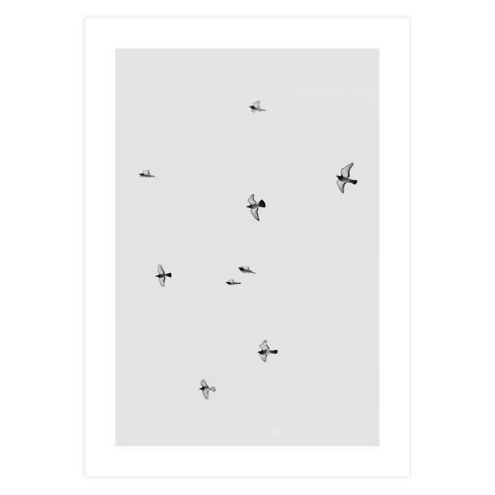 Birds in Flight Photography Wall Art for wholesale by Ellisimo