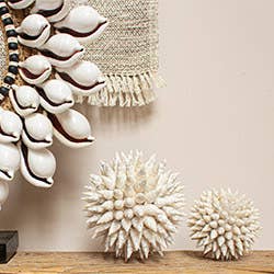 EARTHWARE - Wholesale Decorative Tabletop Object - Deco ball shell Timor S2