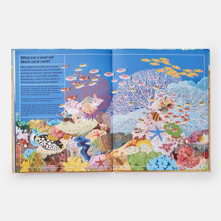 Phaidon - Wholesale Nature & Outdoors - What A Shell Can Tell5