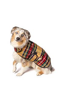 CHILLY DOG LLC - Wholesale Pet Coat - Dog - Tan Tartan Dog Blanket Coat1