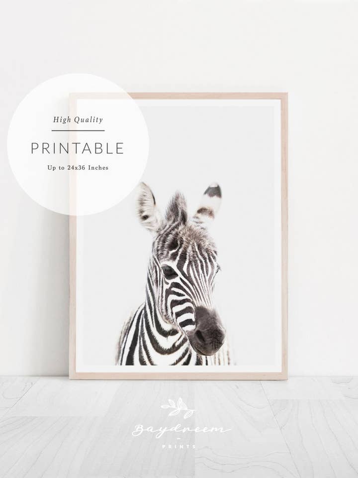 Zebra Print for wholesale by Wild Child Co