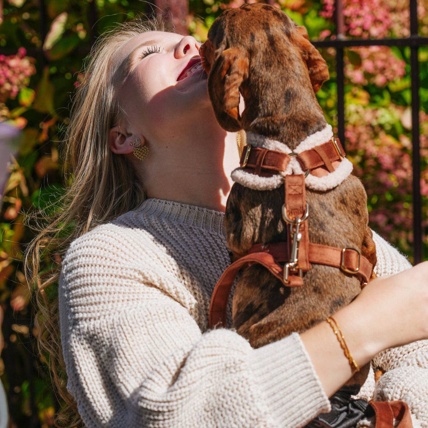 Jaap & Co - Woof Wear - Wholesale Pet Harness - Dog - Soft Season - Dog Harness3