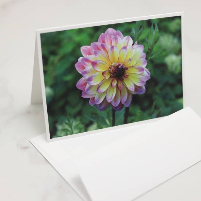 New England Prints - Wholesale Stationery/Notecard Set - Box of 5 All Occasion Summer Bloom Blank Note Cards2