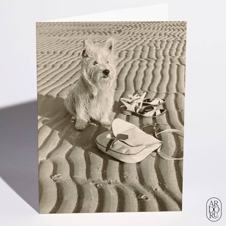 Carte d'amour - Dolly sur la plage de Wangerooge, îles Frisonnes pour la vente par ArdorU