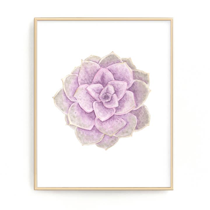 PVN (Purple) Succulent Print for wholesale by Emilie Taylor