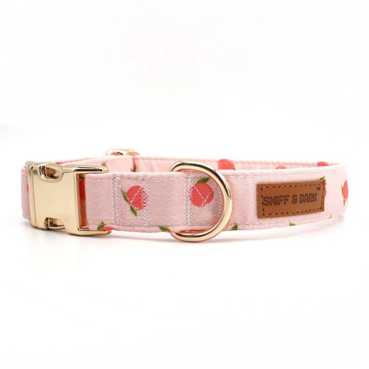 Sniff & Bark - Wholesale Pet Collar - Dog - Peach Collar