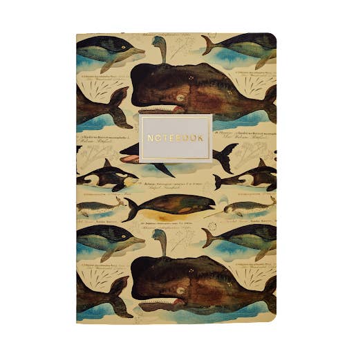 Whales Notebook for wholesale by BV by Bruno Visconti