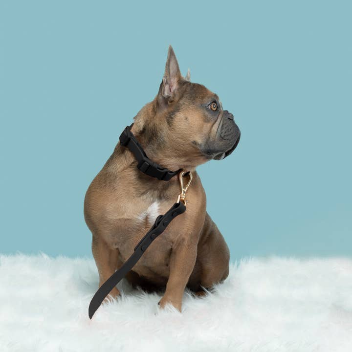 Westley - Wholesale Pet collar – Dog - Waterproof Dog Collar (Quick-Release Buckle)9