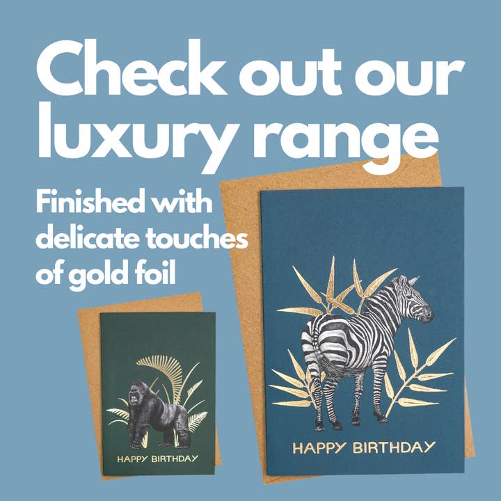 Wild Lines - Wholesale Birthday Card - Better Get Puffin! // Funny Puffin Birthday Card, Bird Cards10