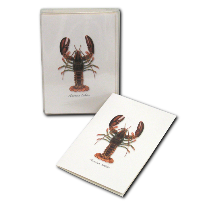 Earth Sky + Water - Wholesale Stationery/Notecard Set - Lobster2