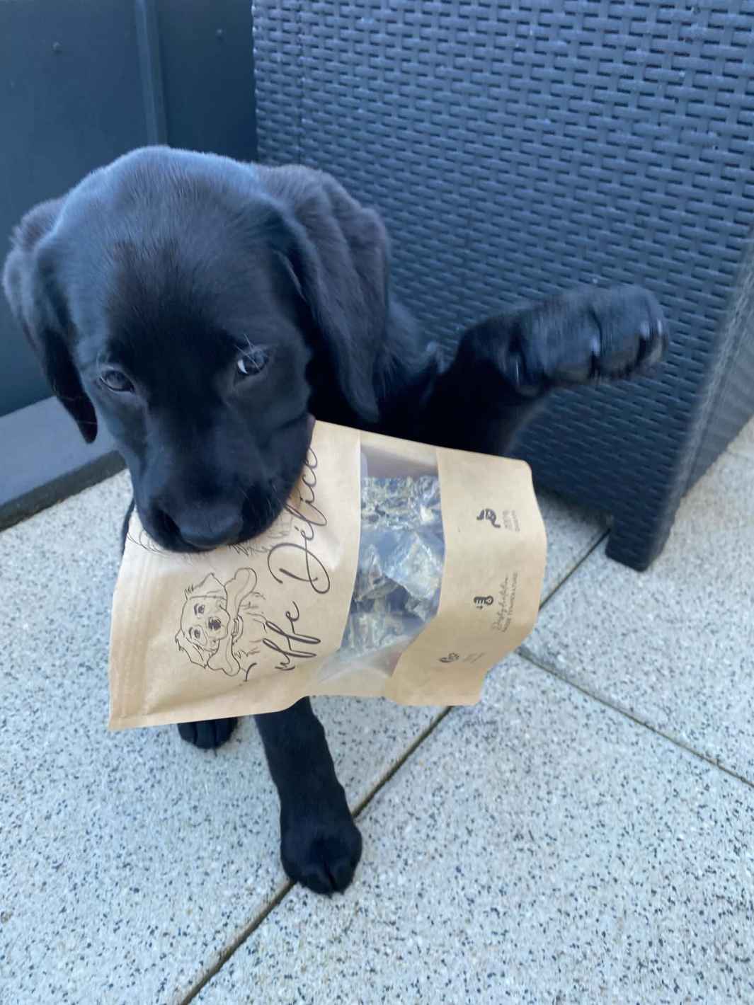 Truffe Délice - Wholesale Pet Treats - Dog - Cod cubes7