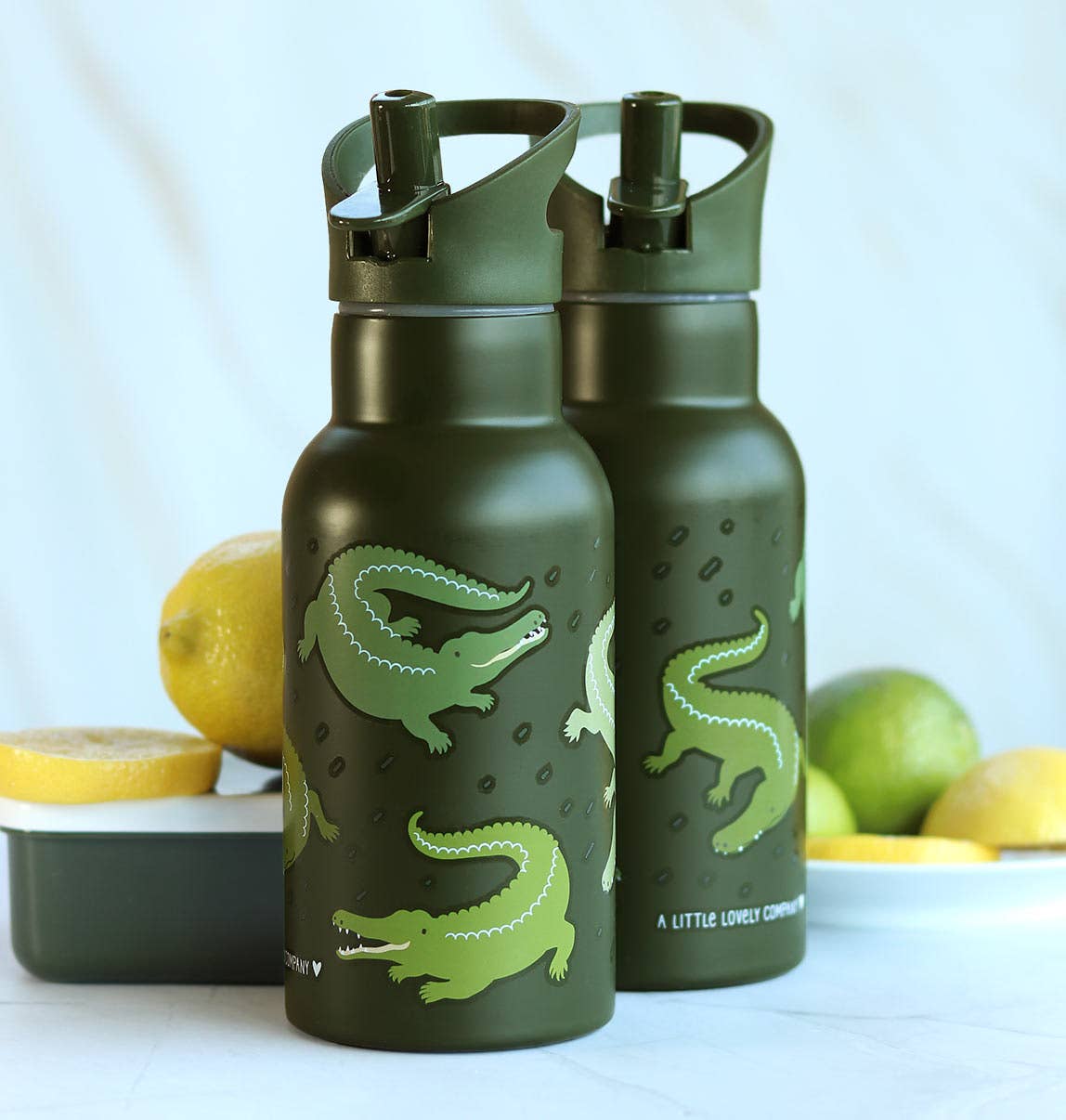 A Little Lovely Company – wholesale Water bottle – Kids stainless steel drink/ water bottle: Crocodiles5