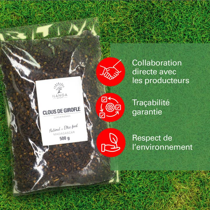 Ilanga Nature - Wholesale Dried Spice - Cloves 500g3