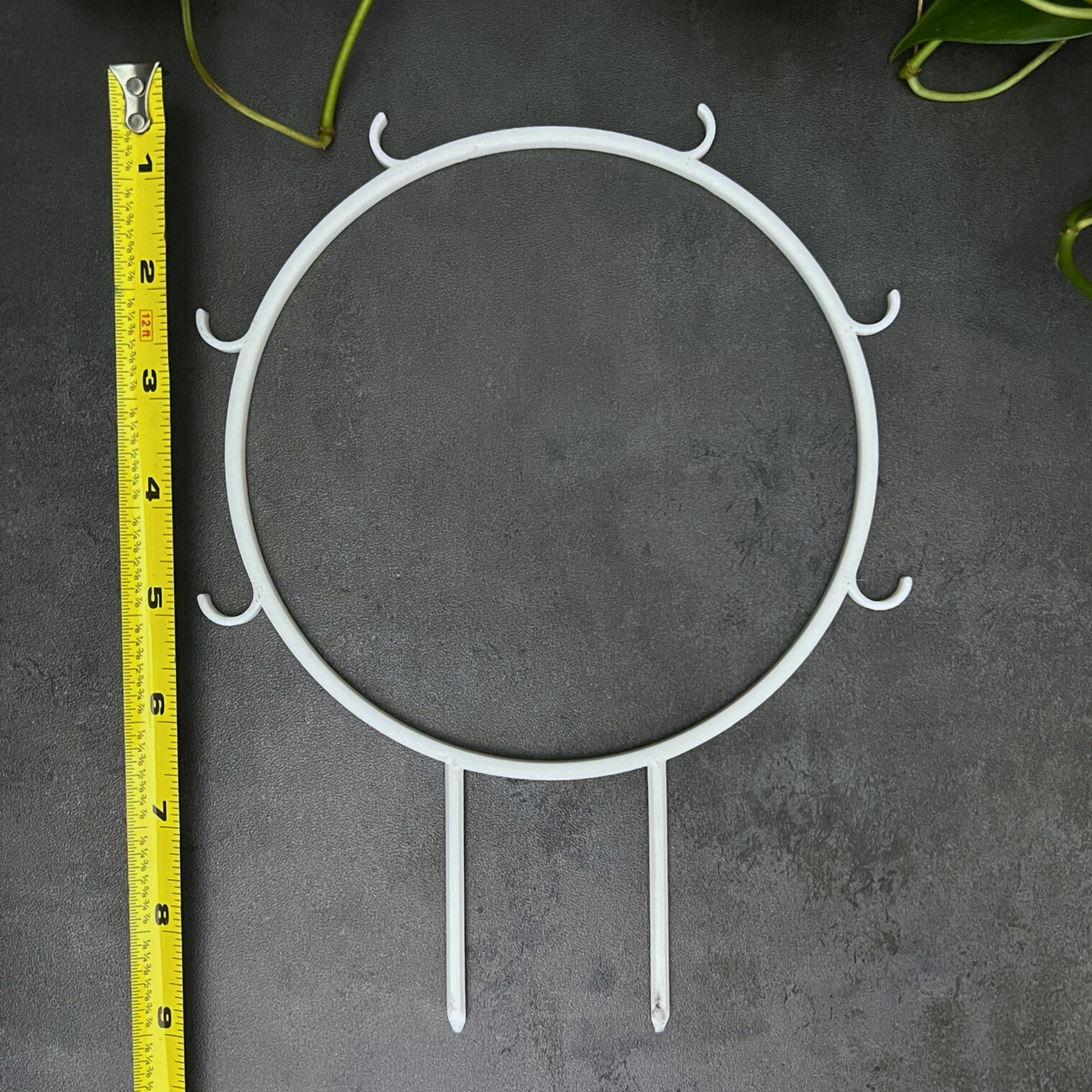 Floraform Creations - Wholesale Trellis - Houseplant Trellis for Climbing Plants, 6 In Hoop with Hooks3
