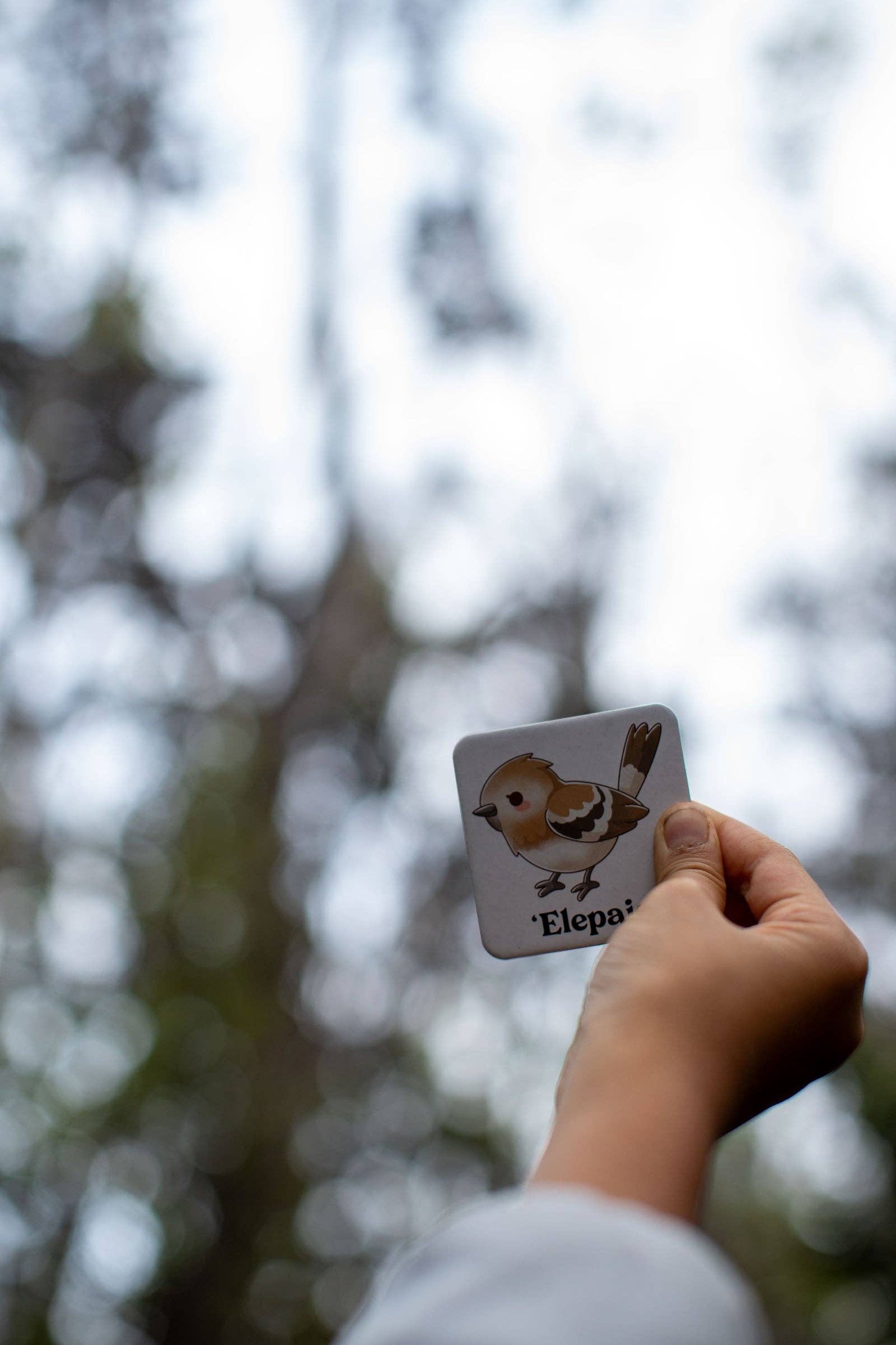 The Keiki Dept - Wholesale Brain Game - Kids - The Memory Game: Mauna Kea6