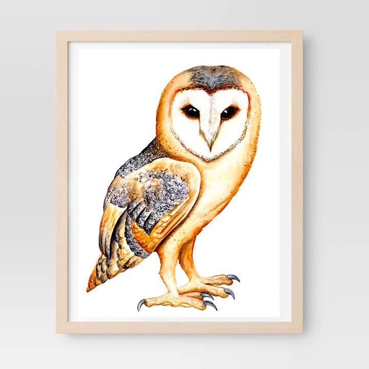 Barn Owl Print (multiple size options) for wholesale by Art by BGates