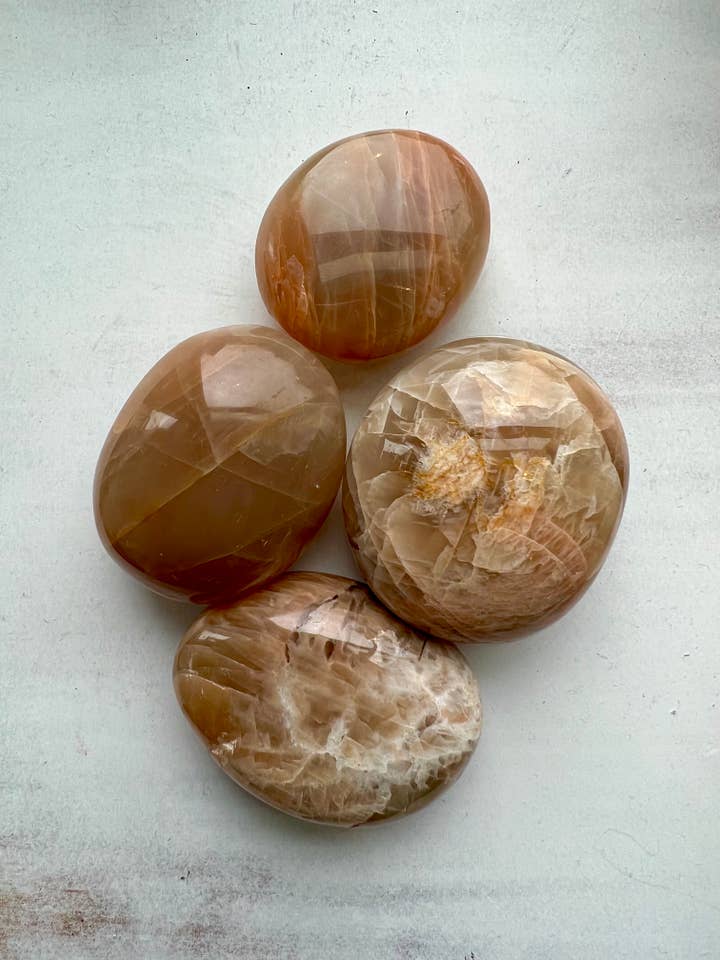 Peach Moonstone Palms for wholesale by Equinox Lane