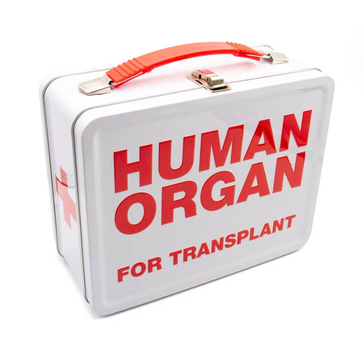 AQUARIUS, GAMAGO, ICUP, & ROCK SAWS by NMR Brands - Wholesale Decorative Box - Human Organ Large Fun Box