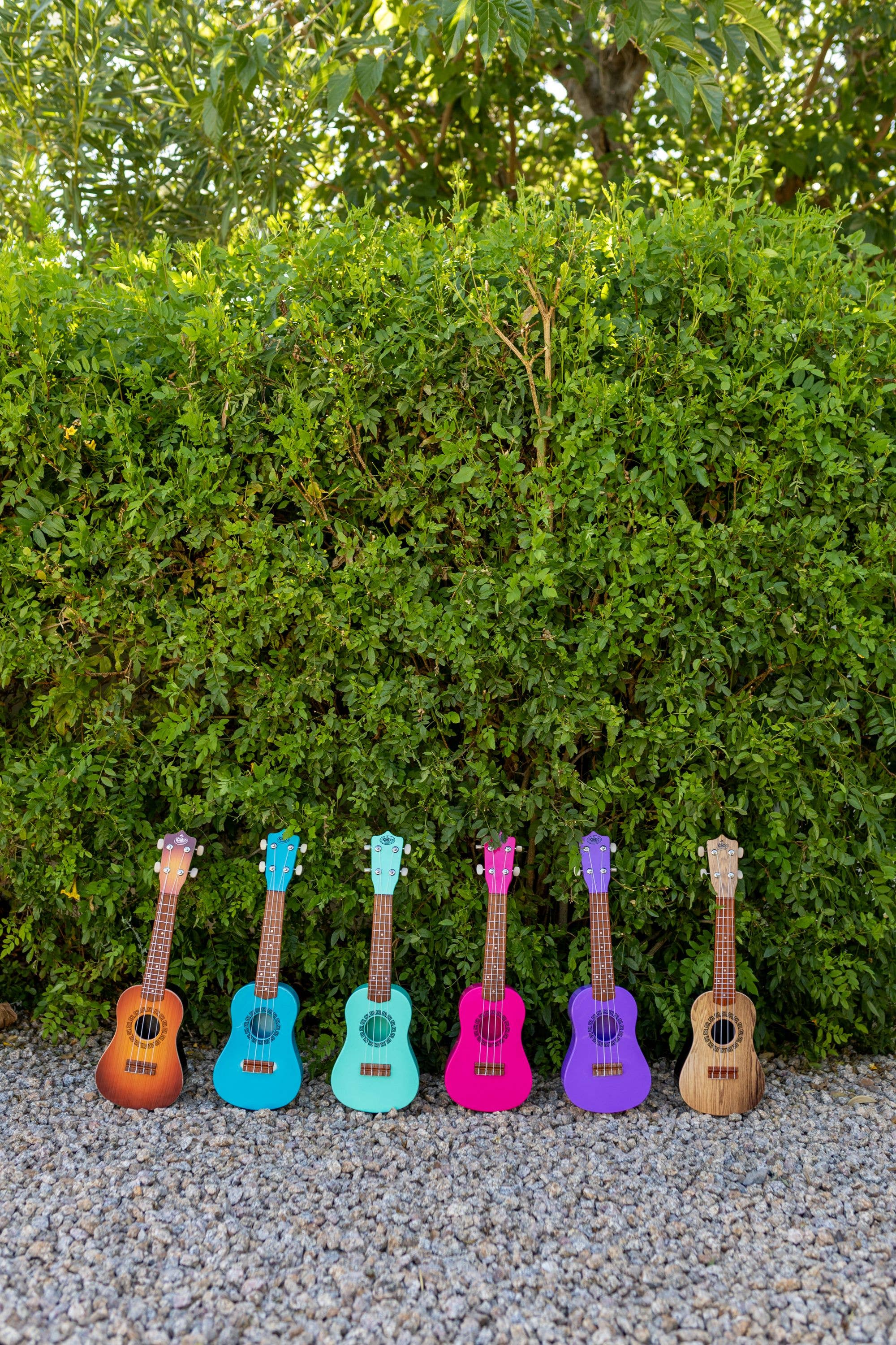 Coconut Outdoor - Wholesale Musical Instrument - KaKo'o Ukuleles - Assorted 6pk11