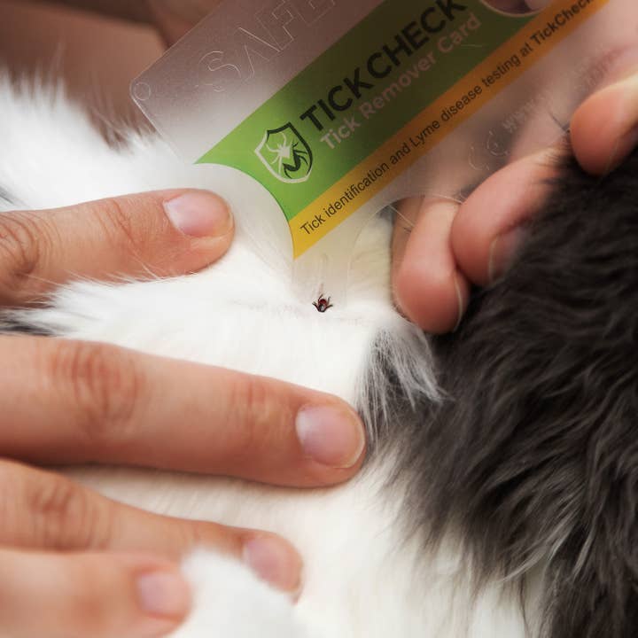 TickCheck - Wholesale Insect Repellent - TickCheck Tick Remover Card