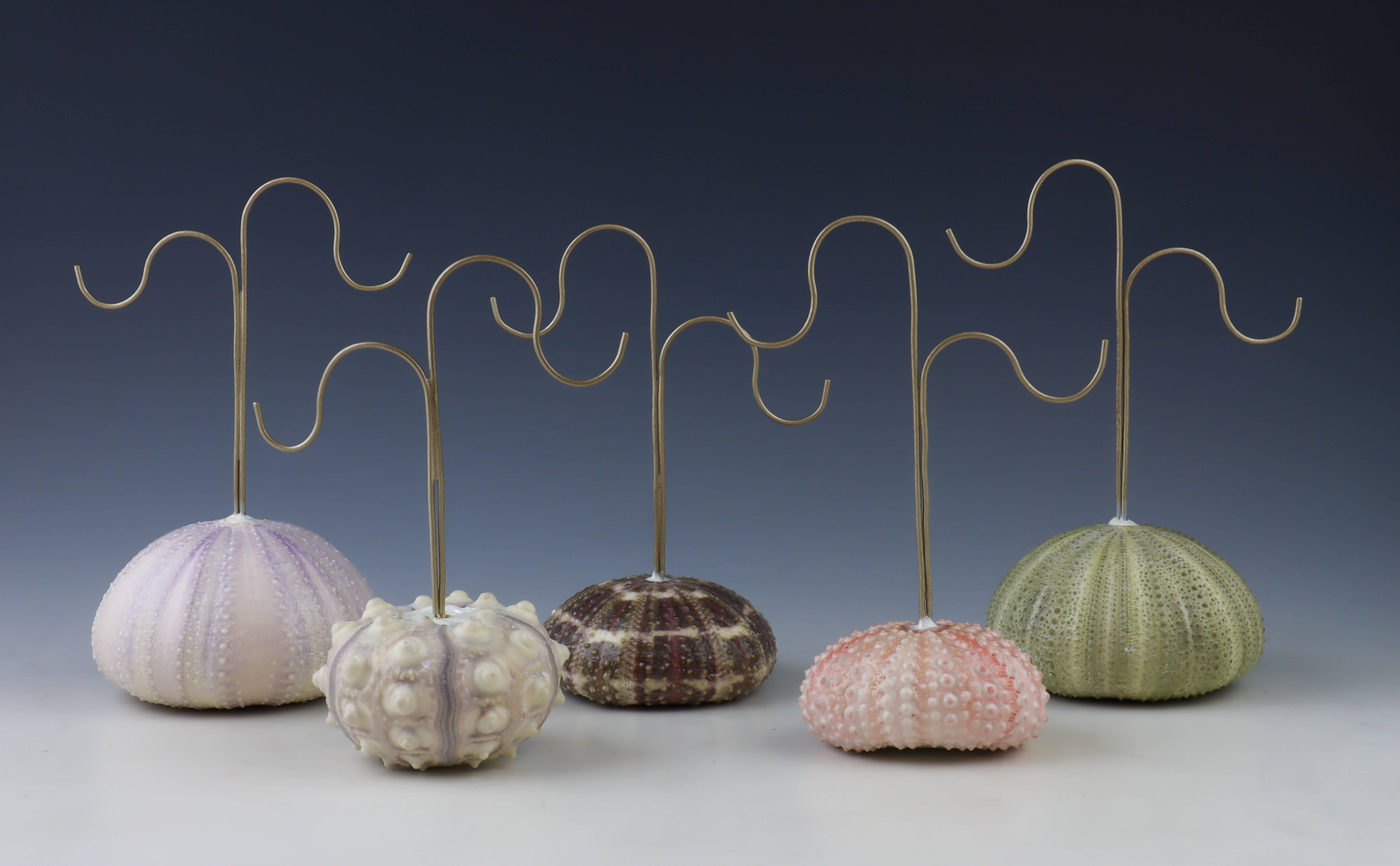 Set Adrift Designs - Wholesale Jewelry Stand & Display - Sea Urchin Earring Displays: Set of 51