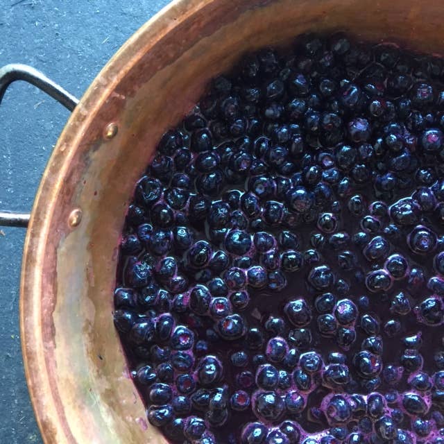 Le Meadows Pantry - Wholesale Jam/Jelly - Le Meadow's Pantry Blueberry and Honey Jam1