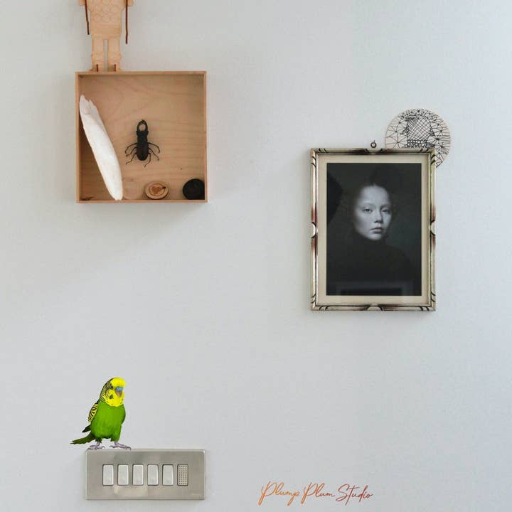 Plump Plum Studio - Wholesale Sticker - Budgie decal, Australian budgie sticker, car decal or light2