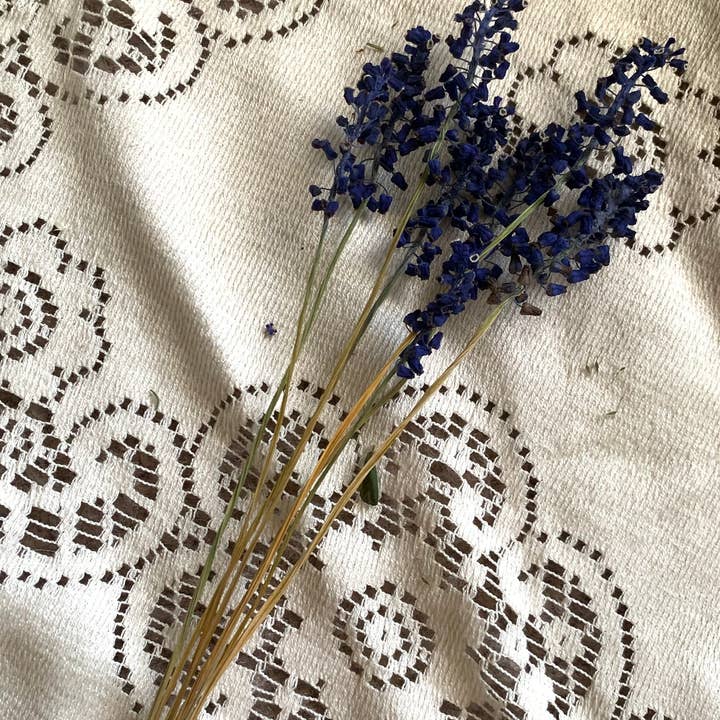 Twig and Snip - Wholesale Dried/Pressed Flowers - Dried Blue Grape Hyacinth Flowers - Natural Cool Tones4