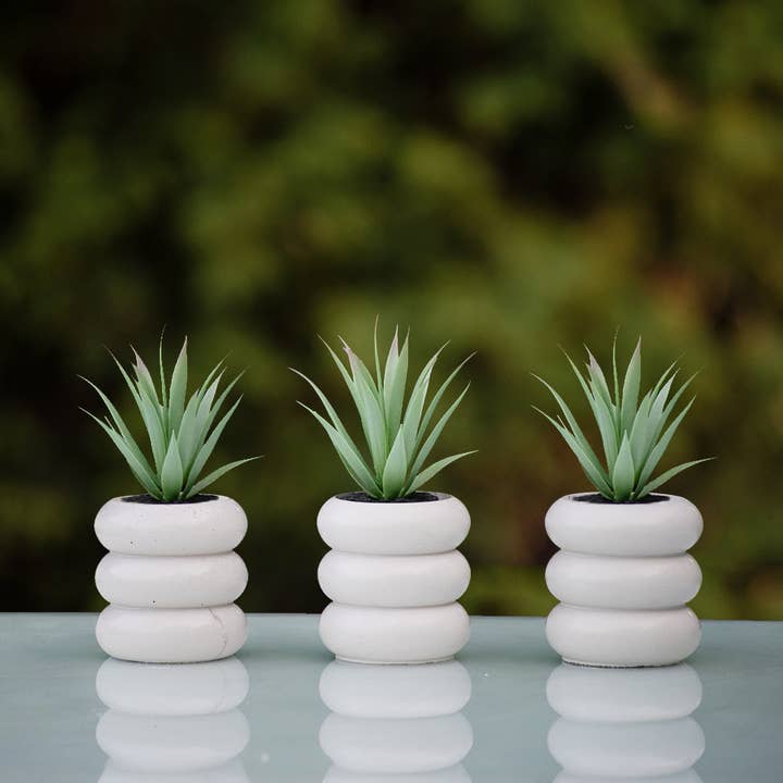 Bella Home Garden Decor - Wholesale Plant Pot - Succulent Mini Pot Circle Shaped 1