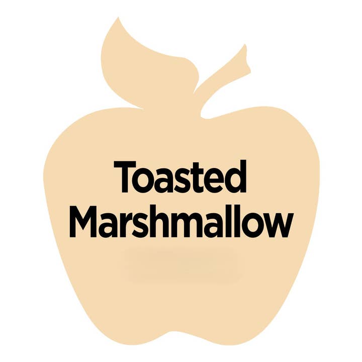 Plaid Crafts - Wholesale Acrylic Paint - Apple Barrel ® Multi-Surface Satin Acrylic Paint - 2 oz9