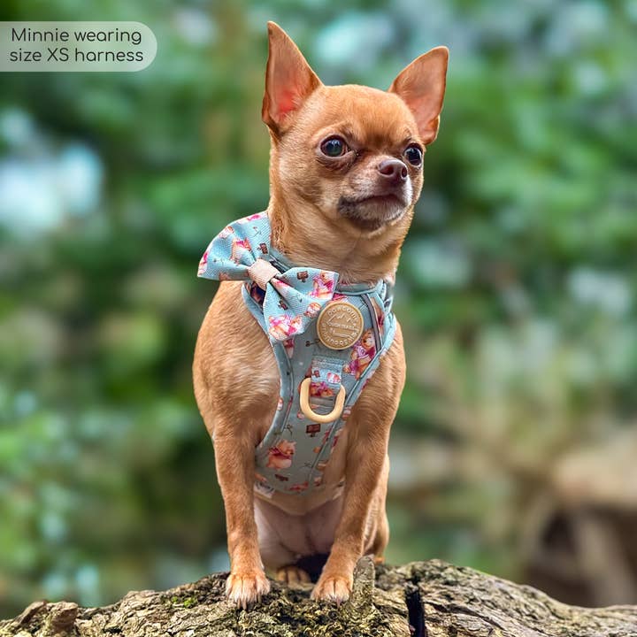 Pawsome Paws – Großhandel Haustiergeschirr – Hund – Disney© Tough Trails™ Geschirr – Winnie Puuh32