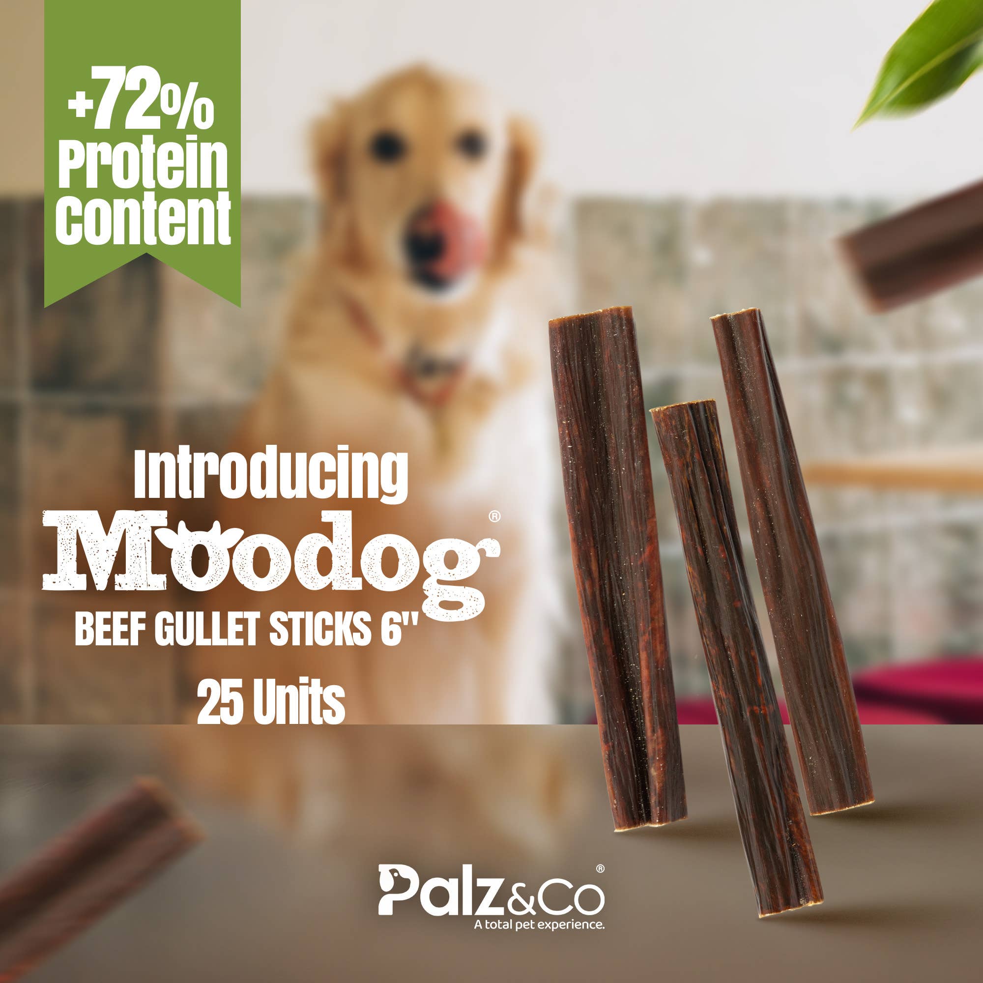 Palz&Co - Wholesale Pet Treats - Dog - Moodog Beef Gullet Sticks 6"-12" - Pack of 255