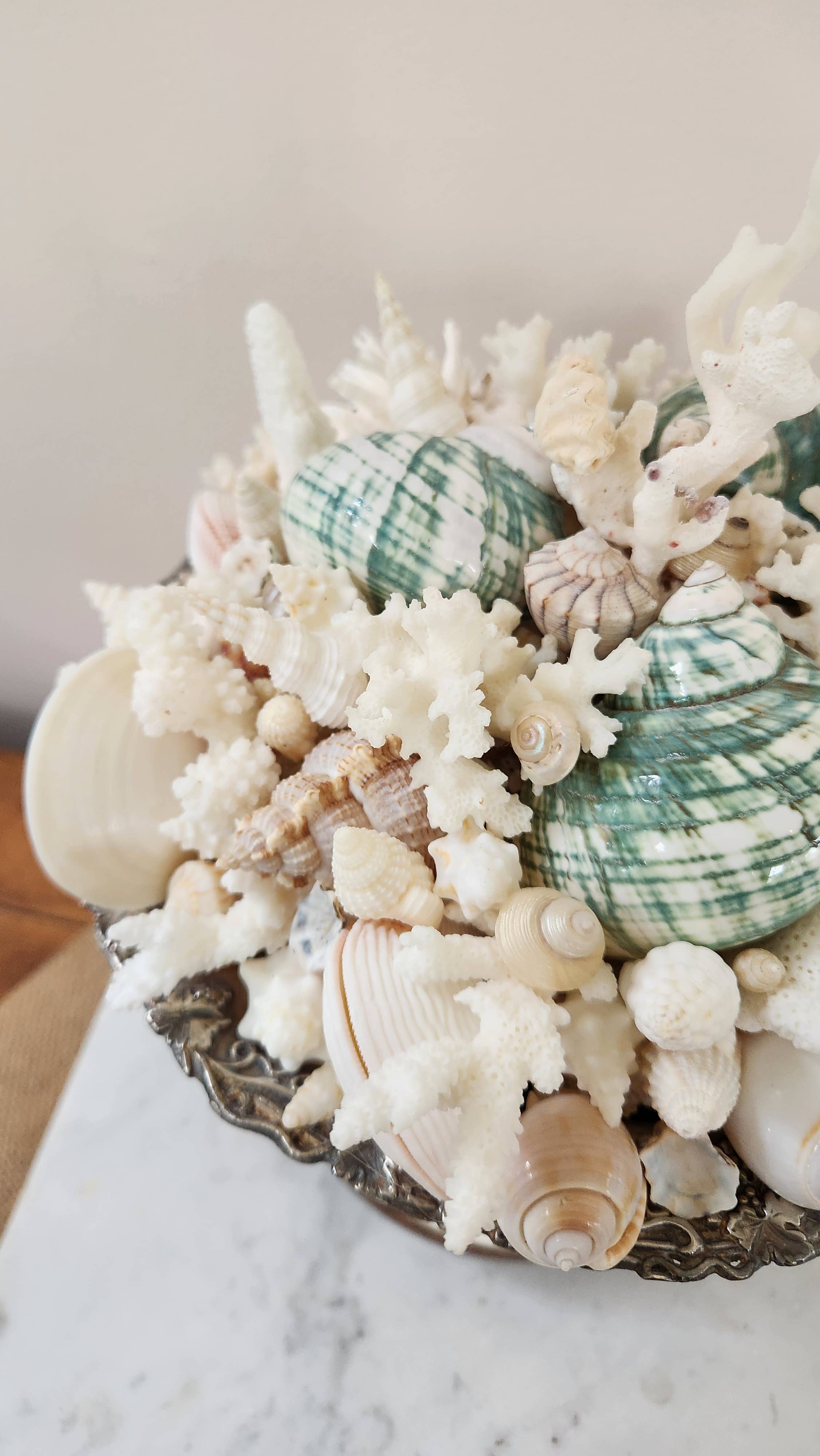 White Tulip Boutique - Wholesale Decorative Tabletop Object - Large Seashell n Coral Centerpiece, Table Top Decor, Topiary3