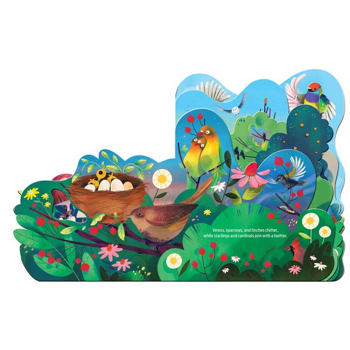 Gibbs Smith - Vente Livre pour bébés et tout-petits (jusqu'à 2 ans) - Chant d'oiseau2