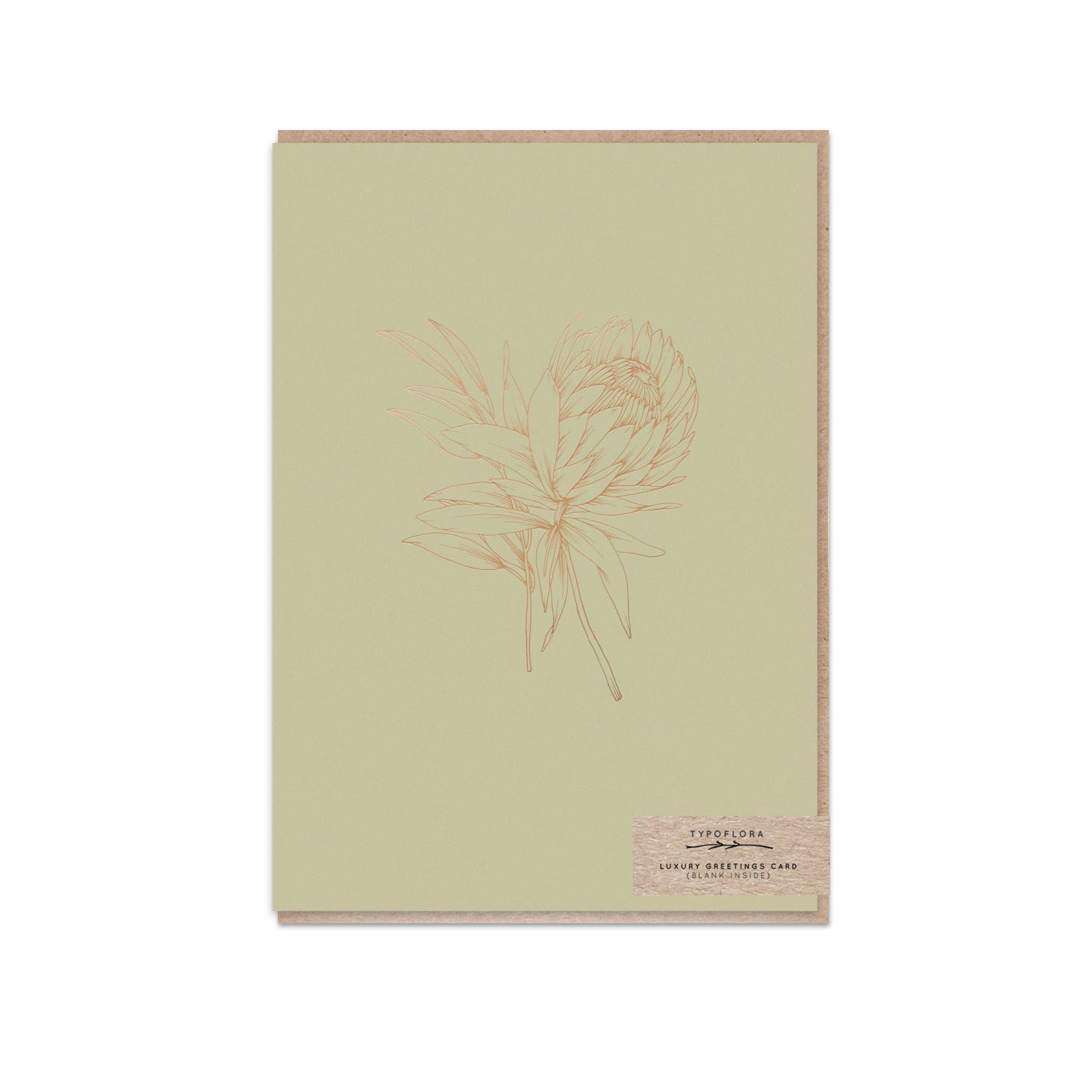 Typoflora - Wholesale Everyday Greeting Card - Soft Olive Protea Card0
