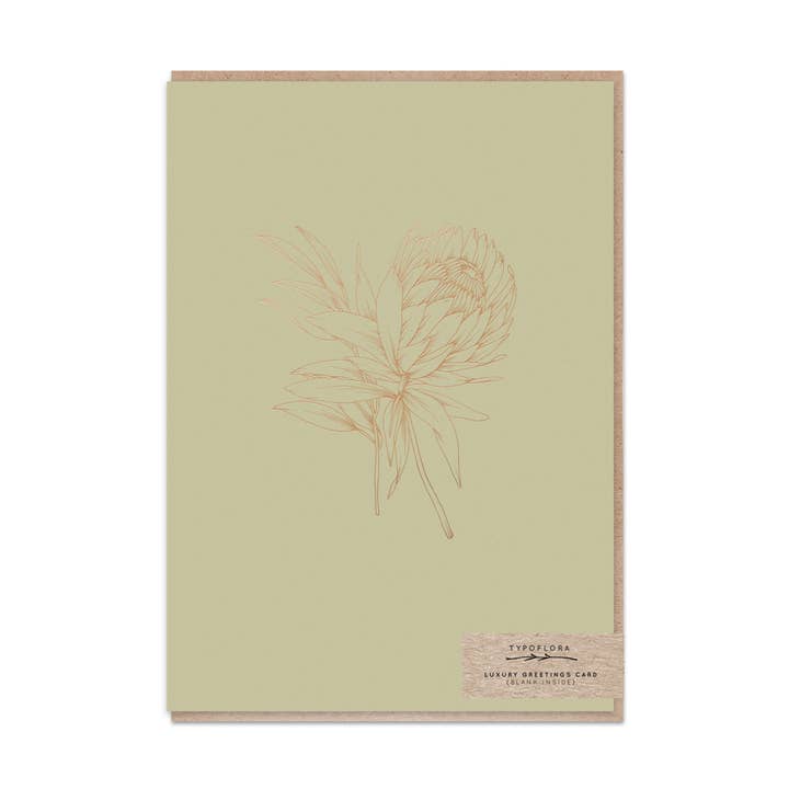 Soft Olive Protea Card for wholesale by Typoflora