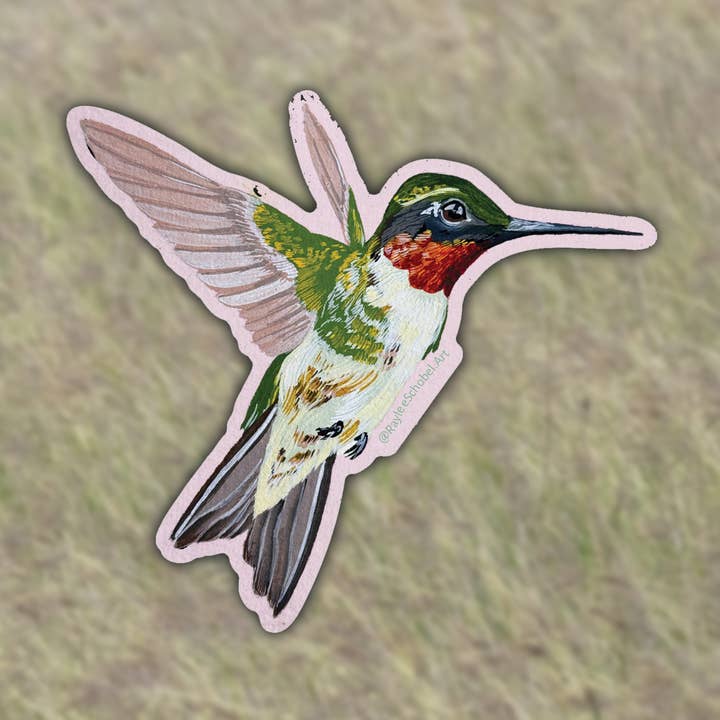Hummingbird Vinyl Sticker for wholesale by Raylee Schobel
